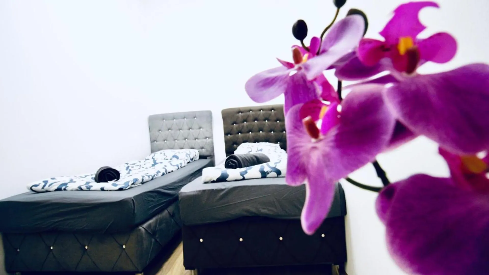 Cozy 2Br Apartment Ideal For Families & Long Stays Vienna